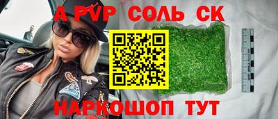 спайс Кингисепп