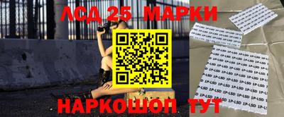 спайс Кингисепп