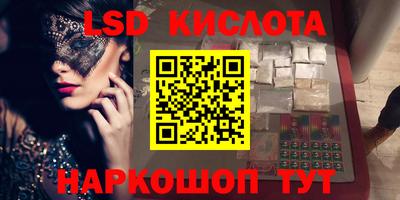 спайс Кингисепп