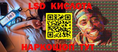 спайс Кингисепп