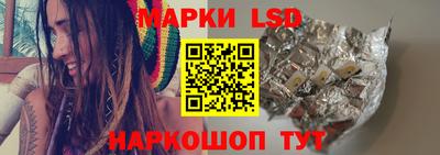 спайс Кингисепп