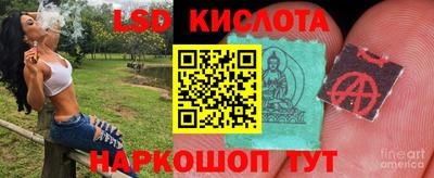 спайс Кингисепп