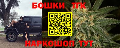 спайс Кингисепп