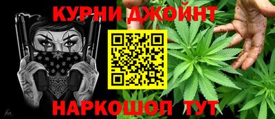спайс Кингисепп