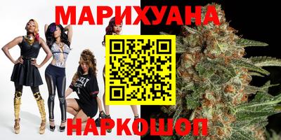 спайс Кингисепп