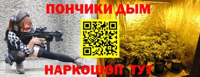 спайс Кингисепп