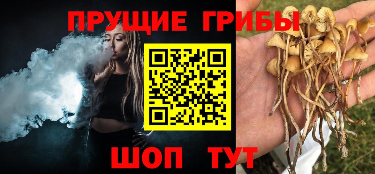Псилоцибиновые грибы Psilocybine cubensis  Вход с VPN  Карпинск 